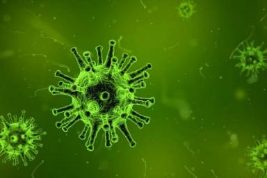 Учеными обнаружен «пособник» COVID-19, помогающий вирусу проникать в организм