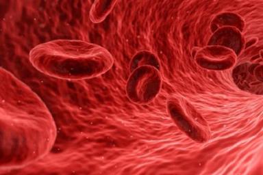 Ученые назвали разжижающие кровь продукты