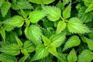 Ученые назвали напиток, который удаляет избытки сахара из организма