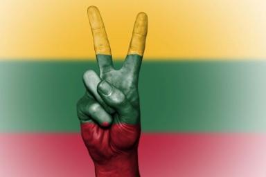 Литовский МИД: Литва готова предоставлять убежище гражданам Беларуси 