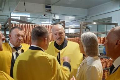Лукашенко: Правильно, надо работать. Бастовать - это не вырастишь ни кур, ни коров