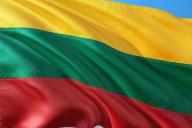МИД Литвы назвал Лукашенко бывшим президентом и обвинил во лжи