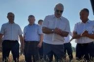 «10,5 млн тонн - больше не надо»: За день до выборов Лукашенко поехал на поля