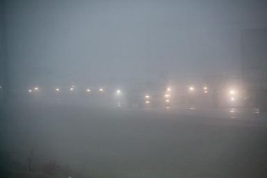Готовимся к туману. Вот такая погода будет в Беларуси 14 августа 2020 года
