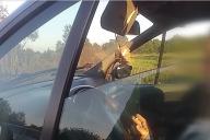 3,52 промилле. В Борисове пьяная мать управляла авто с 3 детьми