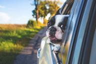 Эксперты объяснили, почему опасно открывать окна во время движения на автомобиле