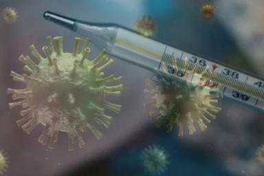 Коллективный иммунитет не поможет: в ВОЗ рассказали, как остановить пандемию COVID-19