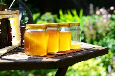 Эксперты назвали вредное для организма количество мёда
