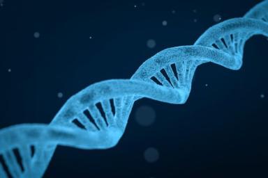 В геноме человека обнаружена «чужая» ДНК неизвестных предков