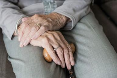 Белорусские ученые раскрыли секрет долгожительства