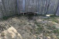 ЧП под Лоевом: мужчина хотел избавиться от мусора и попал в реанимацию