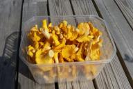 Как замариновать лисички на зиму: простой рецепт