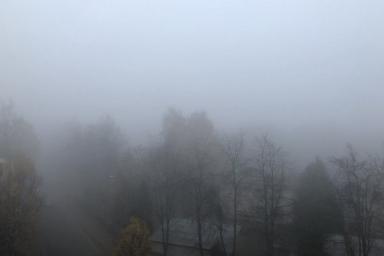 Туман и жара. Вот такой будет погода в Беларуси 2 августа 2020 года