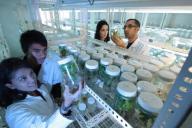 Учеными создан тест, способный быстро диагностировать рак яичников