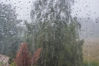 Зонт пригодится: штормпредупреждение объявили в Беларуси на 7 сентября