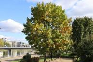 Без осадков и до +28 °С: прогноз погоды в Беларуси на 15 сентября