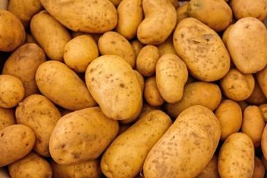 Специалисты рассказали об опасности употребления картофеля с зелеными пятнами