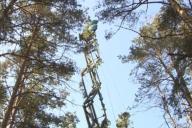 В Беларуси 21 сентября начались учения войск связи