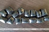 Двух наркокурьеров задержали в Гомеле