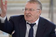 Жириновский рассказал, какой срок дадут Ефремову