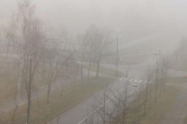 Дожди и сильный туман: погода в Беларуси на 29 сентября 