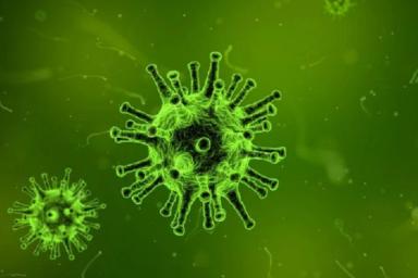 Ученые нашли способ остановить эпидемию гриппа в 2020 году