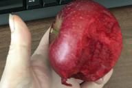 Смотрите, как оптическая иллюзия с яблоком ломает мозг