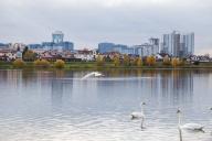 Новости сегодня: Лукашенко в Академии наук, инцидент с послом Украины на границе и что будут обсуждать президенты Беларуси и РФ на переговорах в Сочи