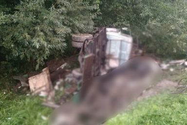 Под Новогрудком грузовик с рогатым скотом перевернулся: есть пострадавшие
