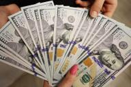 Почти 1,5 млрд долларов. Белорусы массово скупают валюту