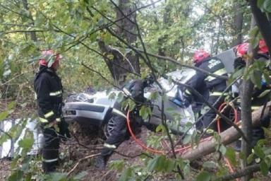 Под Бобруйском Audi влетело в дерево: погибли водитель и пассажирка