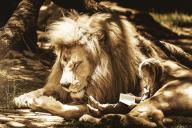 Знаки зодиака, которым все нипочем