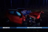Страшное ДТП под Минском: Peugeot сбил лося, выехал на встречку и врезался в Kia. Погибли 3 человека