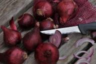 Эксперты рассказали, чем полезен лук-шалот и чем он отличается от обычного лука