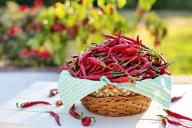 Врачи рассказали о преимуществе любителей острой пищи