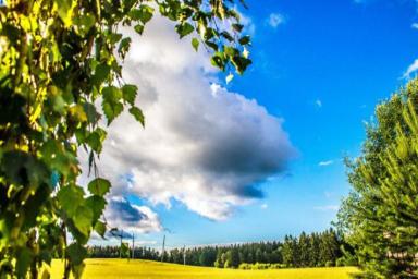 Лето возвращается: какой будет погода в Беларуси 13 сентября