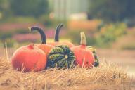 Идеально для осеннего стола: готовим запеченные сезонные овощи