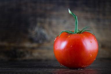 8 правил, как собрать семена помидоров на рассаду