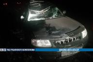 Под Мостами лось выбежал на дорогу перед легковушкой: пострадала полуторагодовалая пассажирка авто