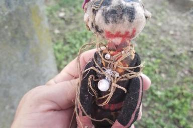 Он в опасности: Парень нашёл у могилы самодельную куклу с запиской, которая напугает любого