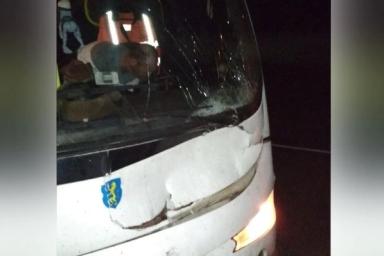 Автобус с белорусскими футболистами попал в ДТП: дикое животное выскочило на дорогу 