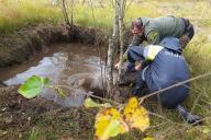 Под Могилевом сотрудники МЧС спасли провалившегося в канаву лося