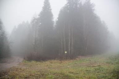 В нескольких районах страны белорусов не пускают в лес