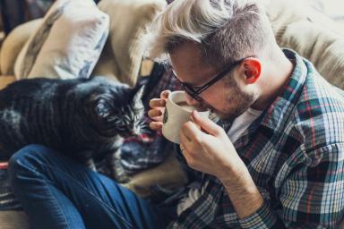 Как проводить время с кошкой: 4 занятия, которые вам придутся по душе