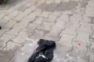 Страшно кричал и не хотел жить. В Гомеле мужчина совершил акт самосожжения