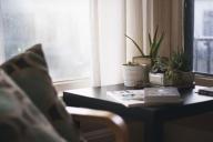 Ученые назвали комнатные растения, которые укрепят здоровье ребенка