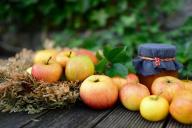 Просто и вкусно: готовим аппетитные драники из яблок