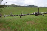 В ЕС рассказали, что не будут закрывать границы из-за СOVID-19