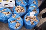 Президент: Смешно – из Египта, Турции картофель завозят. У нас лучшая в мире картошка