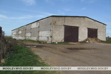 В Мстиславском районе со склада украли 5 тонн пшеницы